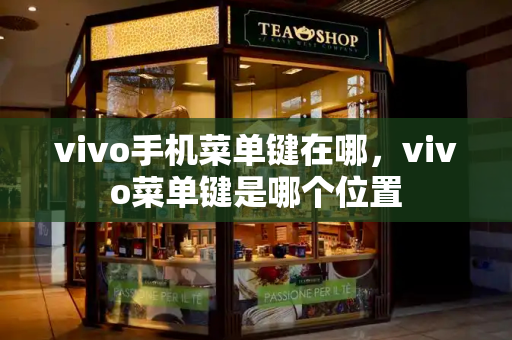 vivo手机菜单键在哪，vivo菜单键是哪个位置-第1张图片-星选测评