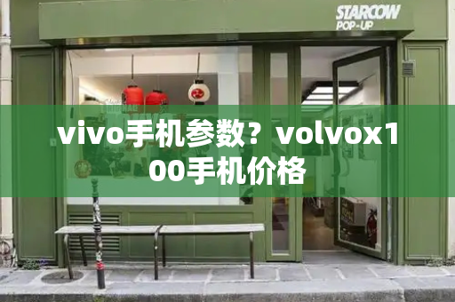 vivo手机参数？volvox100手机价格