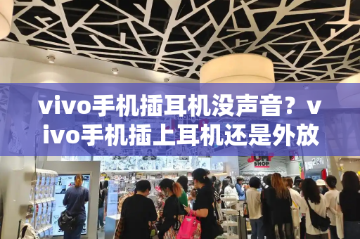 vivo手机插耳机没声音？vivo手机插上耳机还是外放怎么回事-第1张图片-星选测评