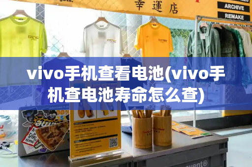 vivo手机查看电池(vivo手机查电池寿命怎么查)