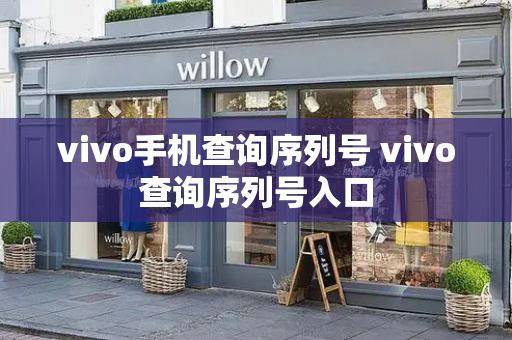 vivo手机查询序列号 vivo查询序列号入口-第1张图片-星选测评
