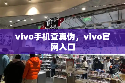vivo手机查真伪，vivo官网入口-第1张图片-星选测评