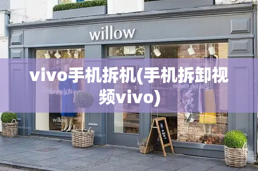 vivo手机拆机(手机拆卸视频vivo)
