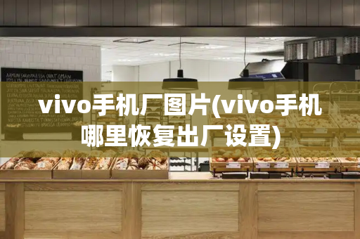 vivo手机厂图片(vivo手机哪里恢复出厂设置)-第1张图片-星选测评