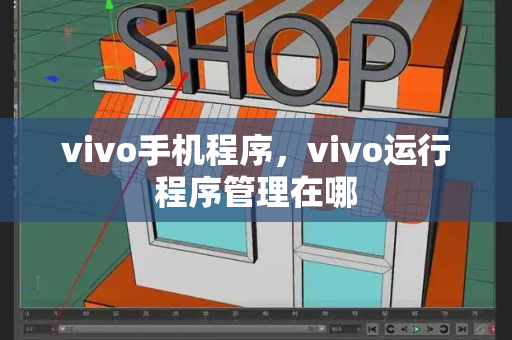 vivo手机程序，vivo运行程序管理在哪