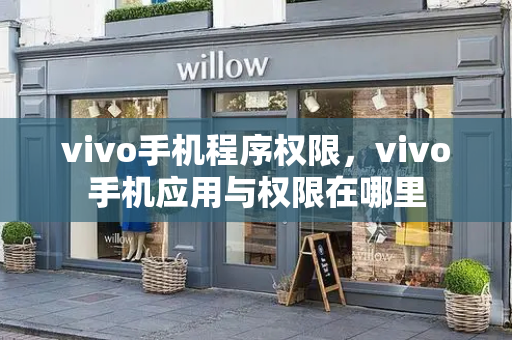 vivo手机程序权限，vivo手机应用与权限在哪里-第1张图片-星选测评