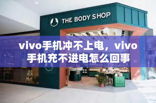 vivo手机冲不上电，vivo手机充不进电怎么回事
