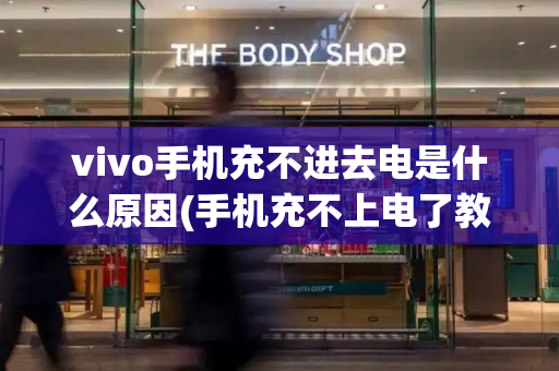 vivo手机充不进去电是什么原因(手机充不上电了教你一招在家修复)