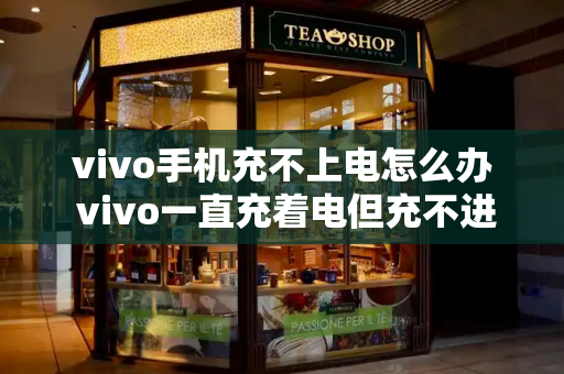 vivo手机充不上电怎么办 vivo一直充着电但充不进电