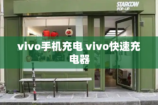 vivo手机充电 vivo快速充电器-第1张图片-星选测评