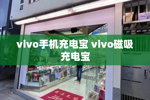 vivo手机充电宝 vivo磁吸充电宝-第1张图片-星选测评