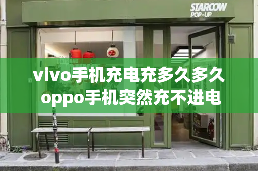 vivo手机充电充多久多久 oppo手机突然充不进电-第1张图片-星选测评