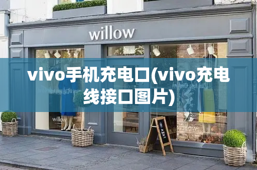vivo手机充电口(vivo充电线接口图片)-第1张图片-星选测评
