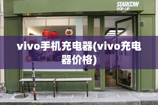 vivo手机充电器(vivo充电器价格)