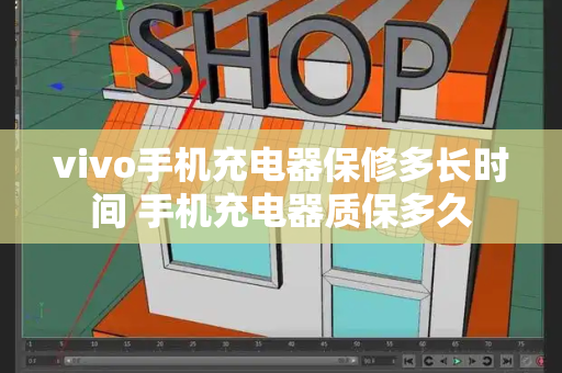 vivo手机充电器保修多长时间 手机充电器质保多久-第1张图片-星选测评