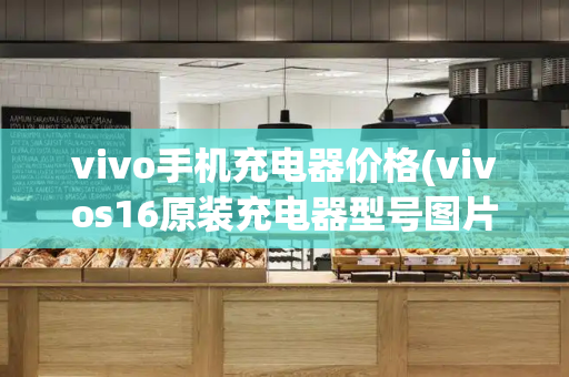vivo手机充电器价格(vivos16原装充电器型号图片)