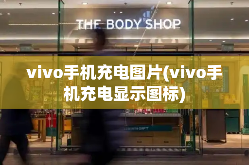 vivo手机充电图片(vivo手机充电显示图标)