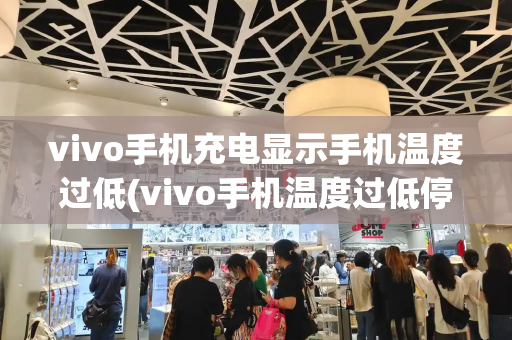 vivo手机充电显示手机温度过低(vivo手机温度过低停止充电怎么办)-第1张图片-星选测评