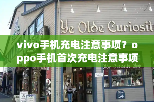 vivo手机充电注意事项？oppo手机首次充电注意事项-第1张图片-星选测评