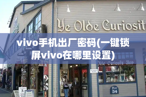 vivo手机出厂密码(一键锁屏vivo在哪里设置)-第1张图片-星选测评
