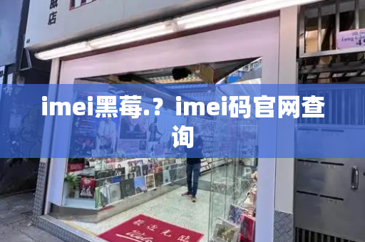 imei黑莓.？imei码官网查询-第1张图片-星选测评