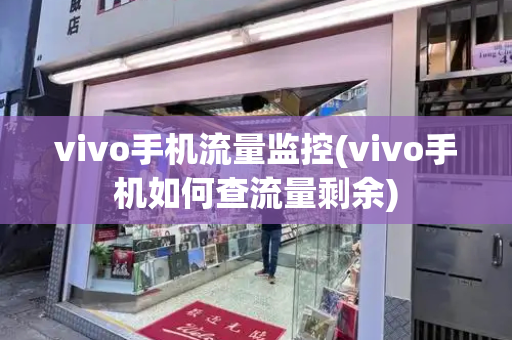 vivo手机流量监控(vivo手机如何查流量剩余)