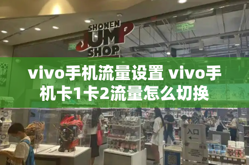 vivo手机流量设置 vivo手机卡1卡2流量怎么切换-第1张图片-星选测评