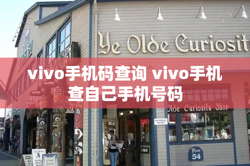 vivo手机码查询 vivo手机查自己手机号码-第1张图片-星选测评