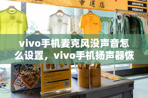 vivo手机麦克风没声音怎么设置，vivo手机扬声器恢复方法