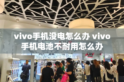 vivo手机没电怎么办 vivo手机电池不耐用怎么办