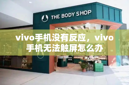 vivo手机没有反应，vivo手机无法触屏怎么办