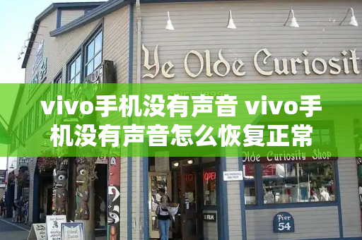 vivo手机没有声音 vivo手机没有声音怎么恢复正常