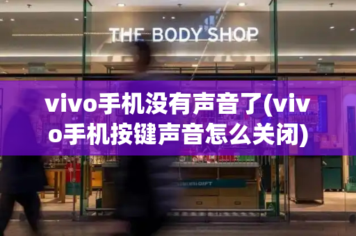 vivo手机没有声音了(vivo手机按键声音怎么关闭)