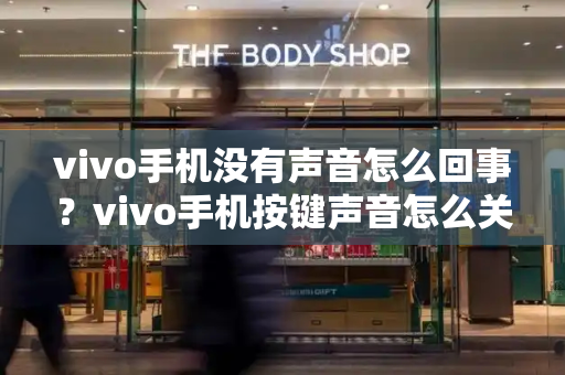 vivo手机没有声音怎么回事？vivo手机按键声音怎么关闭-第1张图片-星选测评