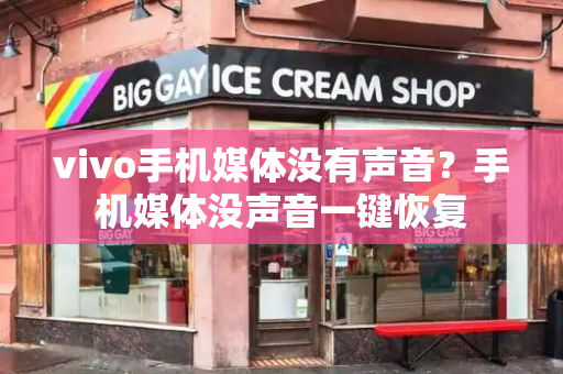 vivo手机媒体没有声音？手机媒体没声音一键恢复