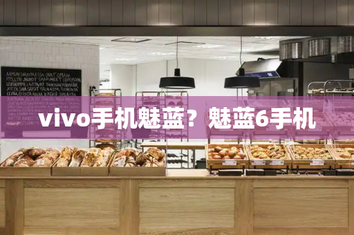 vivo手机魅蓝？魅蓝6手机