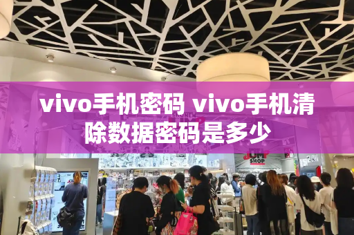 vivo手机密码 vivo手机清除数据密码是多少