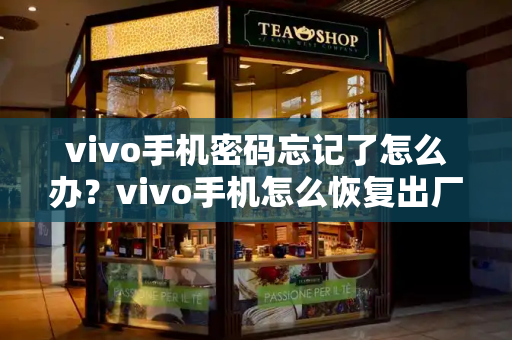 vivo手机密码忘记了怎么办？vivo手机怎么恢复出厂设置-第1张图片-星选测评
