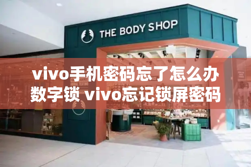 vivo手机密码忘了怎么办数字锁 vivo忘记锁屏密码10秒解决