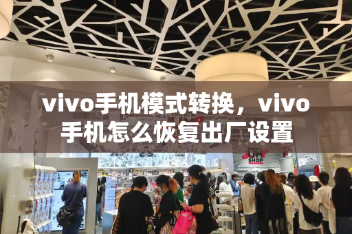 vivo手机模式转换，vivo手机怎么恢复出厂设置-第1张图片-星选测评