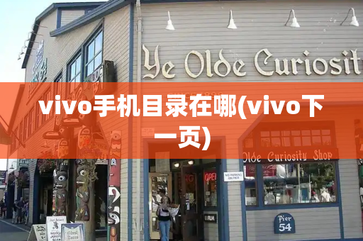 vivo手机目录在哪(vivo下一页)-第1张图片-星选测评