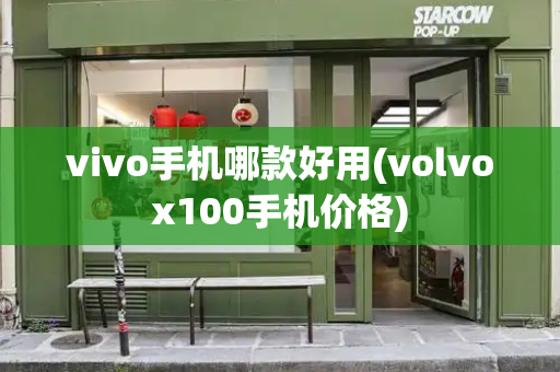 vivo手机哪款好用(volvox100手机价格)