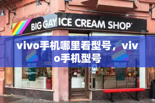 vivo手机哪里看型号，vivo手机型号-第1张图片-星选测评