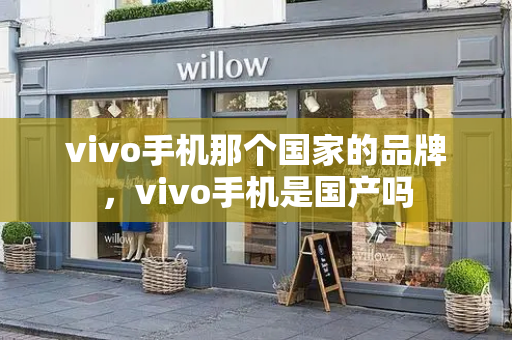 vivo手机那个国家的品牌，vivo手机是国产吗-第1张图片-星选测评