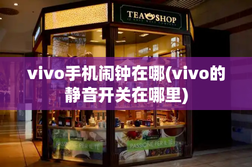 vivo手机闹钟在哪(vivo的静音开关在哪里)-第1张图片-星选测评