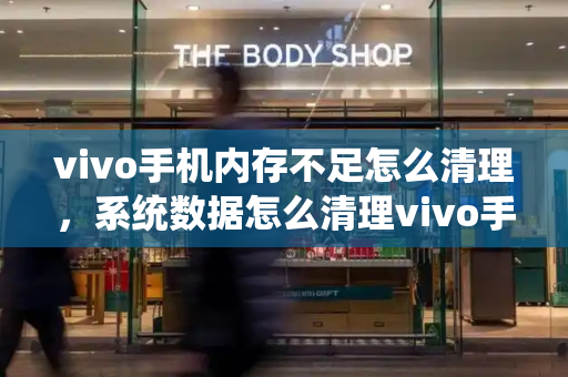 vivo手机内存不足怎么清理，系统数据怎么清理vivo手机-第1张图片-星选测评