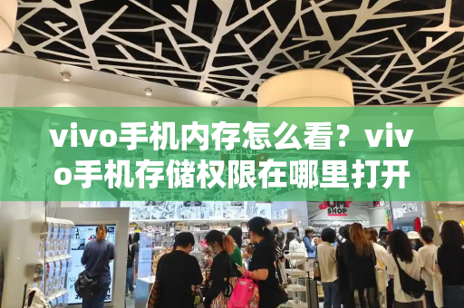 vivo手机内存怎么看？vivo手机存储权限在哪里打开