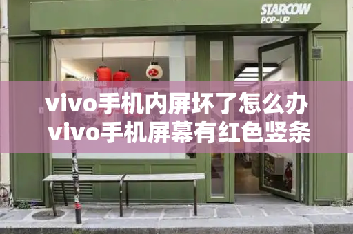 vivo手机内屏坏了怎么办 vivo手机屏幕有红色竖条纹