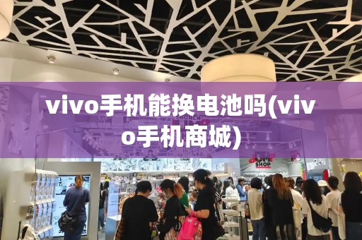 vivo手机能换电池吗(vivo手机商城)