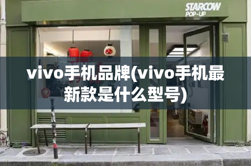 vivo手机品牌(vivo手机最新款是什么型号)-第1张图片-星选测评